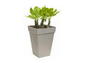 Sunmeub Urban High Square Flower Box 37 - Black 37x51 cm 52267MVRU
