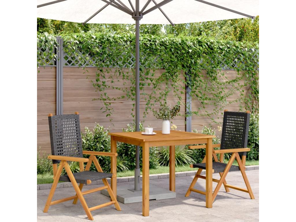 Sunmeub Garden Chairs, Set of 2, Black Solid Wood and Rattan, 16518TKRR