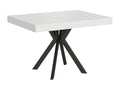 Dolcezza extendable table 90x120/224 cm, white ash, anthracite legs 22903YTGO